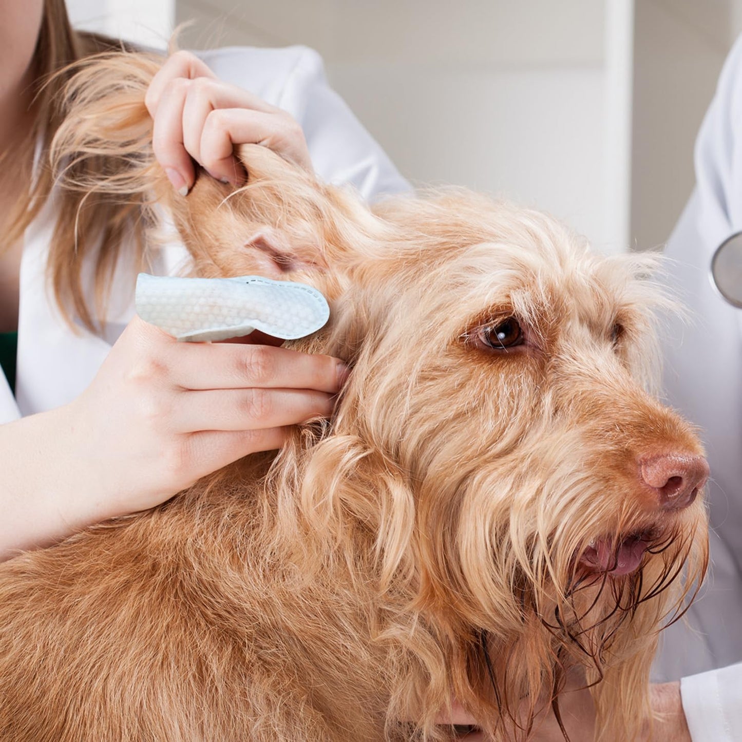 Dog Ear Cleaner Wipes – Finger Wipes for Dogs & Cats – Cleaning, Soothing, & Deodorizing Itchy Ears – Pet Ear Relief Solution (Coconut)